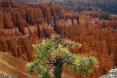 Bryce Canyon Nationalpark