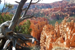 Bryce Canyon Nationalpark