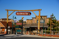 Old Bryce Town