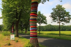 Cuxland, Loxstedt 2012, Dünenfährstraße