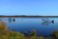 Cuxland, Loxstedt-Donnern 2004, Bülter See
