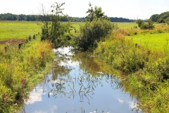 Cuxland, Loxstedt-Bexhövede-Nückel 2012, Rohr