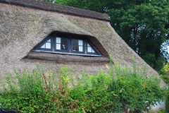 Cuxland, Loxstedt-Wiemsdorf 2017