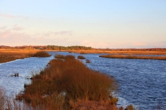 Cuxland, Schiffdorf-Sellstedt, Winter 2017, Polder Glies