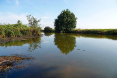 Cuxland, Loxstedt-Düring 2020, Lune am Kanuanleger Leutnantsbrückenweg
