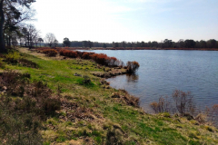 Cuxland, Beverstedt-Wollingst 2018, Wollingster See Im Frühling