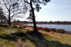 Cuxland, Beverstedt-Wollingst 2018, Wollingster See im Frühling