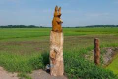 Cuxland, Loxstedt 2021, Moorgebiet bei Hetthorn, Hase