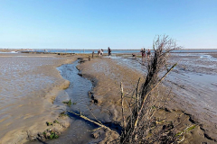 Cuxland, Cuxhaven, Duhner Loch 2018