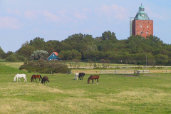 Neuwerk 2007, Leuchtturm