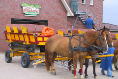 Neuwerk 2007, Wattwagen