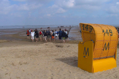 Cuxland, Cuxhaven-Sahlenburg 2007, Aufbruch zur Insel Neuwerk