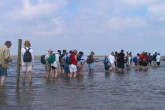 Cuxland, Cuxhaven-Sahlenburg 2007, Duhner Loch