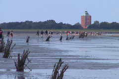 Cuxland, Die Priggen kennzeichnen den Weg im Watt