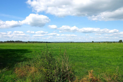Cuxland, Loxstedt-Hetthorn 2021
