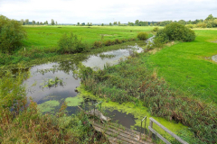 Cuxland, Beverstedt-Freschluneberg 2021, Blick vom Otterbiotop auf die Lune