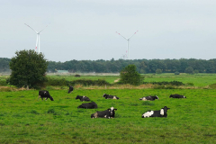 Cuxland, Beverstedt-Hollen 2021