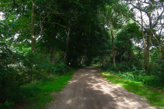 Cuxland, Loxstedt-Düring 2021
