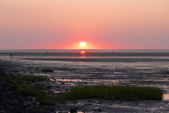 Cuxland, Wurster Nordseeküste, Cappel-Neufeld 2022, Sonnenuntergang