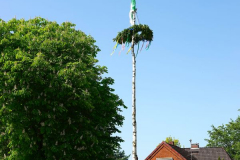 Cuxland, Beverstedt-Lunestedt 2024, Maibaum Sperlingslust