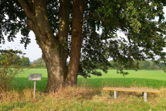 Cuxland, Schiffdorf 2024, Am Apeler See
