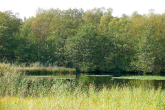 Cuxland, Schiffdorf 2024, Friedheimer See