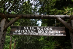 USA, Kalifornien, Muir Woods