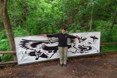 USA, Kalifornien, Muir Woods