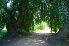 Potsdam, Park Sanssouci