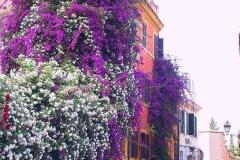 Italien, Rom, Trastevere