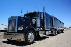 USA, Arizona, Route 66, Truck