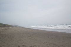 San Francisco, Pazifikküste