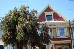 San Francisco