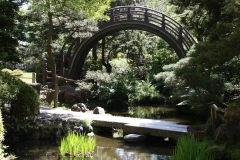 San Francisco, Japanischer Garten, Geschwungene Holzbrücke