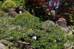 San Francisco, Japanischer Garten