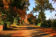 Cuxland, Stinstedt, Herbstfärbung in der Ringstraße, Herbst 2011