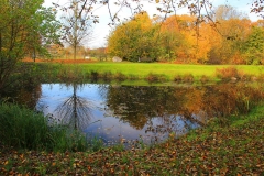 Cuxland, Stinstedt, Am Teich, Herbst 2011