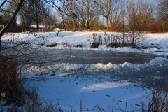 Cuxland, Stinstedt, Am Teich, Winter 2013