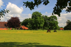 Cuxland, Stinstedt, Blick vom Historischen Weg, Sommer 2012