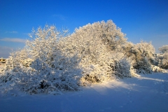 Cuxland, Stinstedt, Winter 2010