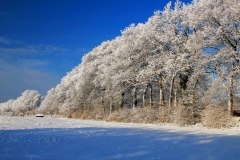Cuxland, Stinstedt, Lütje Wisch, Winter 2010