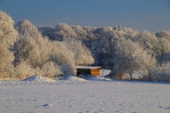 Cuxland, Stinstedt, Lütje Wisch, Winter 2010