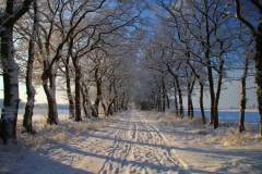 Cuxland, Stinstedt, Lütje Wisch, Winter 2010