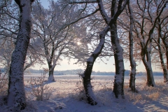 Cuxland, Stinstedt, Lütje Wisch, Winter 2010