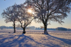 Cuxland, Stinstedt, Lütje Wisch, Winter 2010