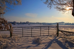 Cuxland, Stinstedt, Lütje Wisch, Winter 2010