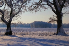 Cuxland, Stinstedt, Lütje Wisch, Winter 2010