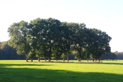 Cuxland, Stinstedt, Loxstedter Moor, Herbst 2016
