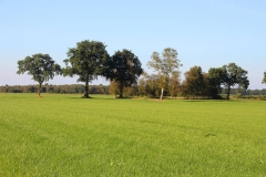 Cuxland, Stinstedt, Loxstedter Moor, Herbst 2016