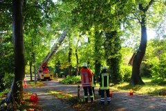 Cuxland, Stinstedt, Oktober 2017, Die Feuerwehr beseitigt Schäden an den Eichen in der Ringstraße, die Sturmtief Xavier hinterlassen hat